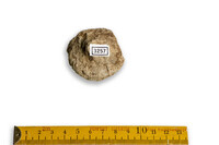 F 03257
<br/>
<br/>
<em></em>